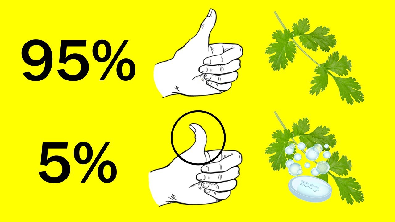 10 cosas que no se pueden medir