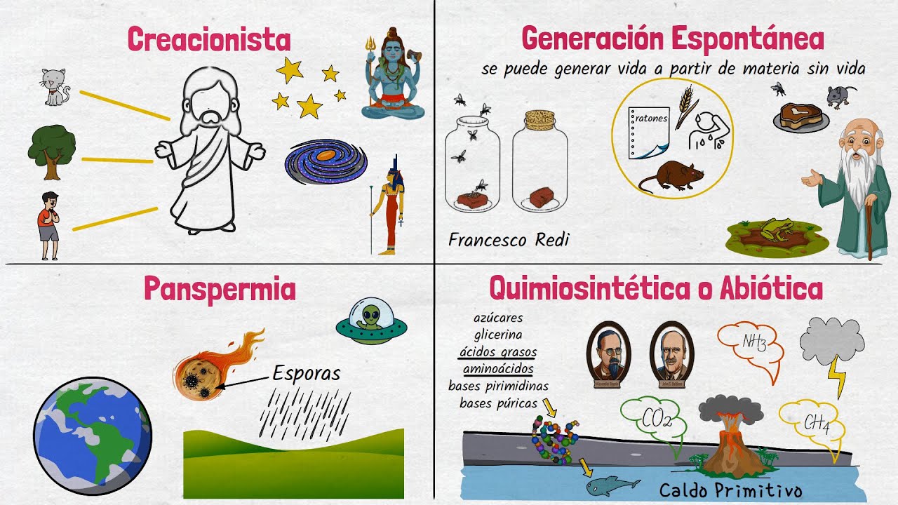 actividades interactivas sobre el origen de la vida