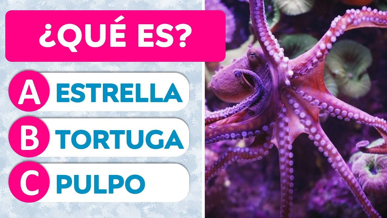 adivinanzas dificiles con respuesta de animales