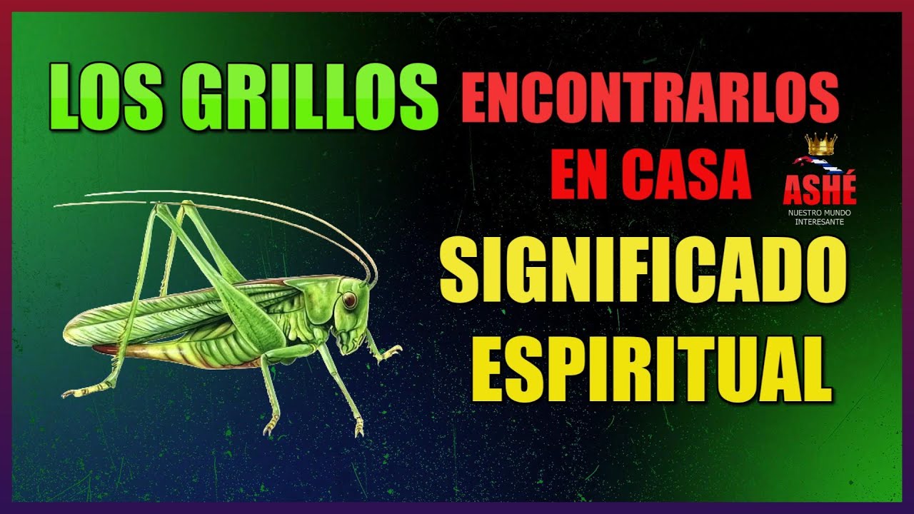 como saber donde esta un grillo