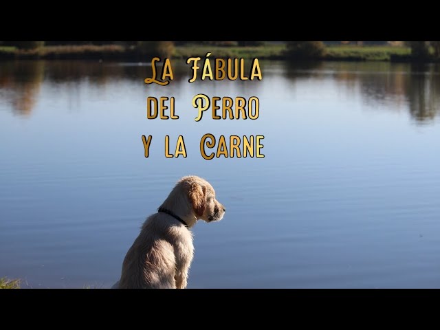 cuál es la moraleja del perro y la carne