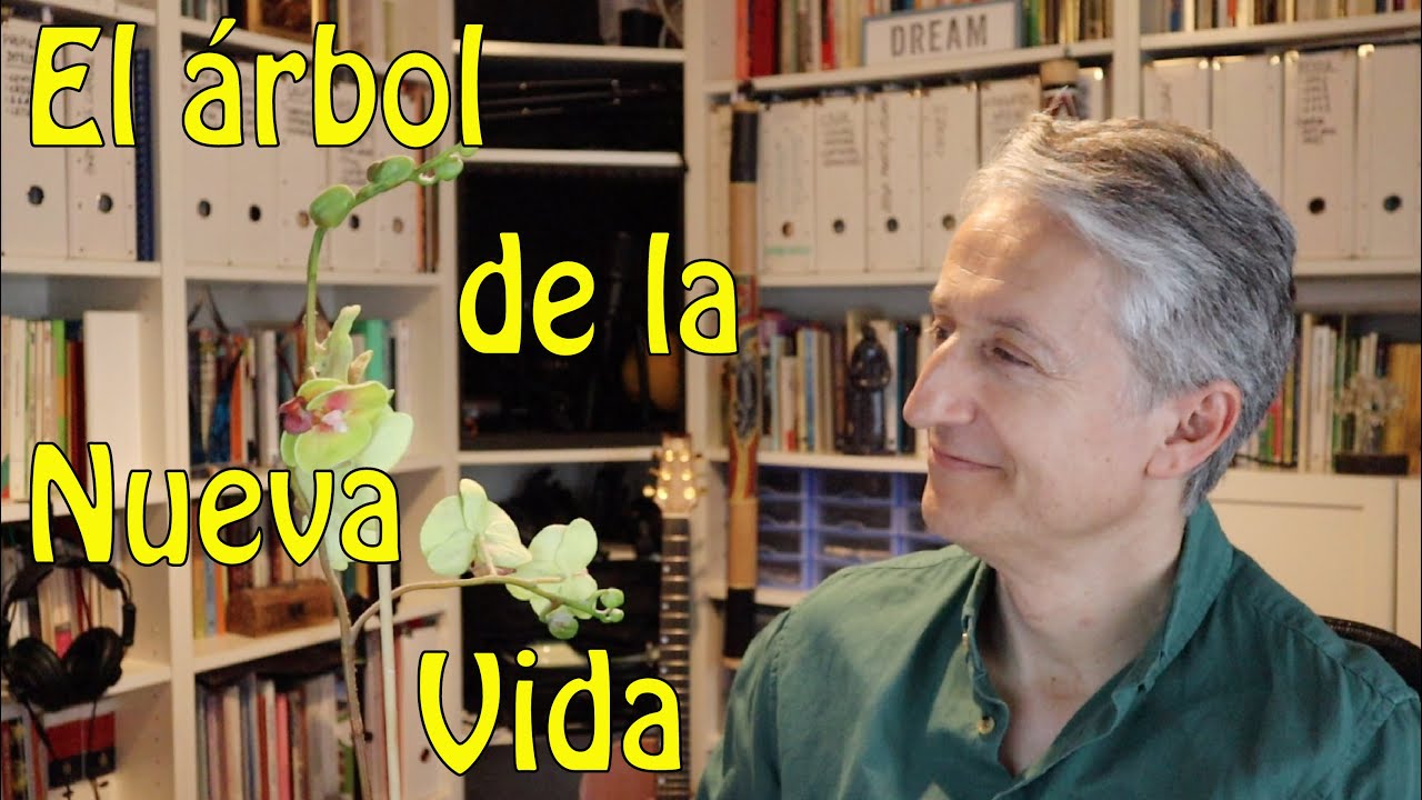 el arbol de la vida dinamica