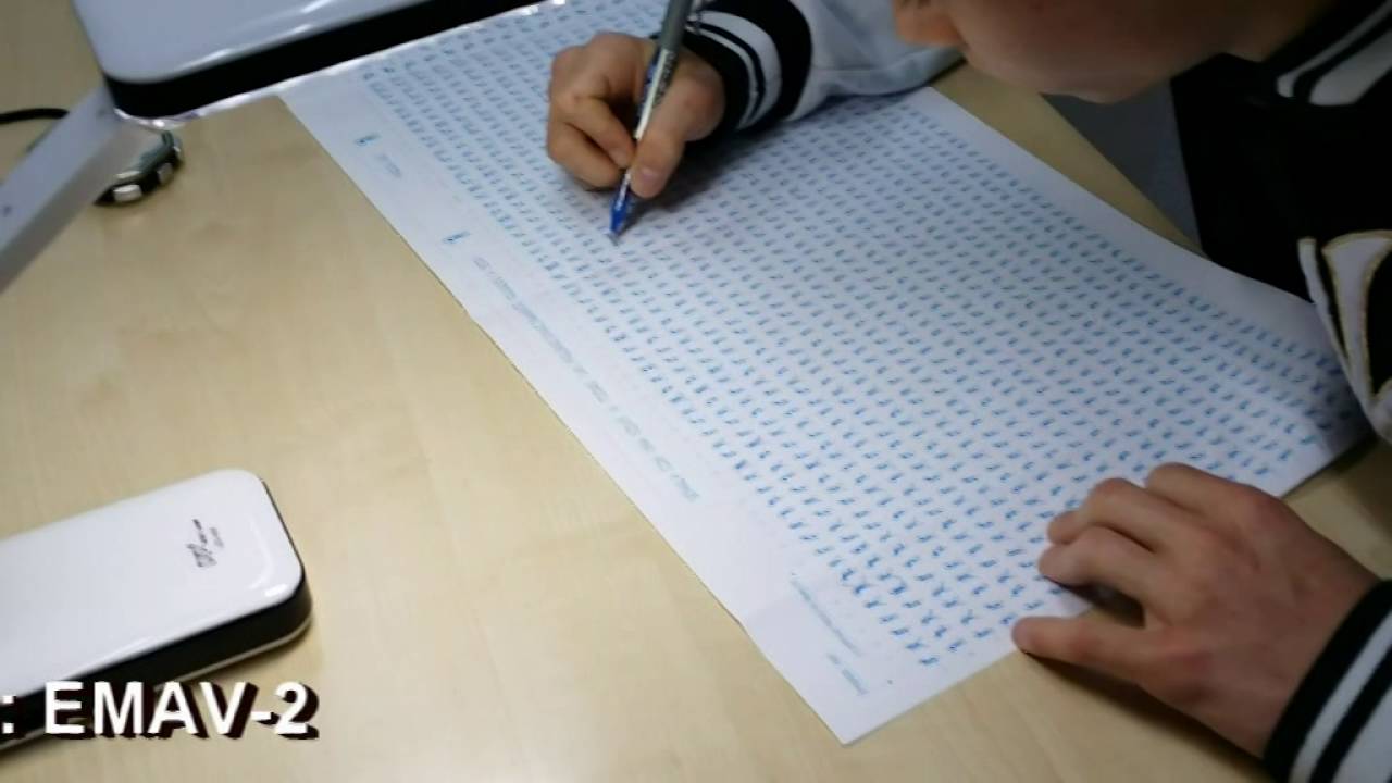 emav 2 escala magallanes de atención visual