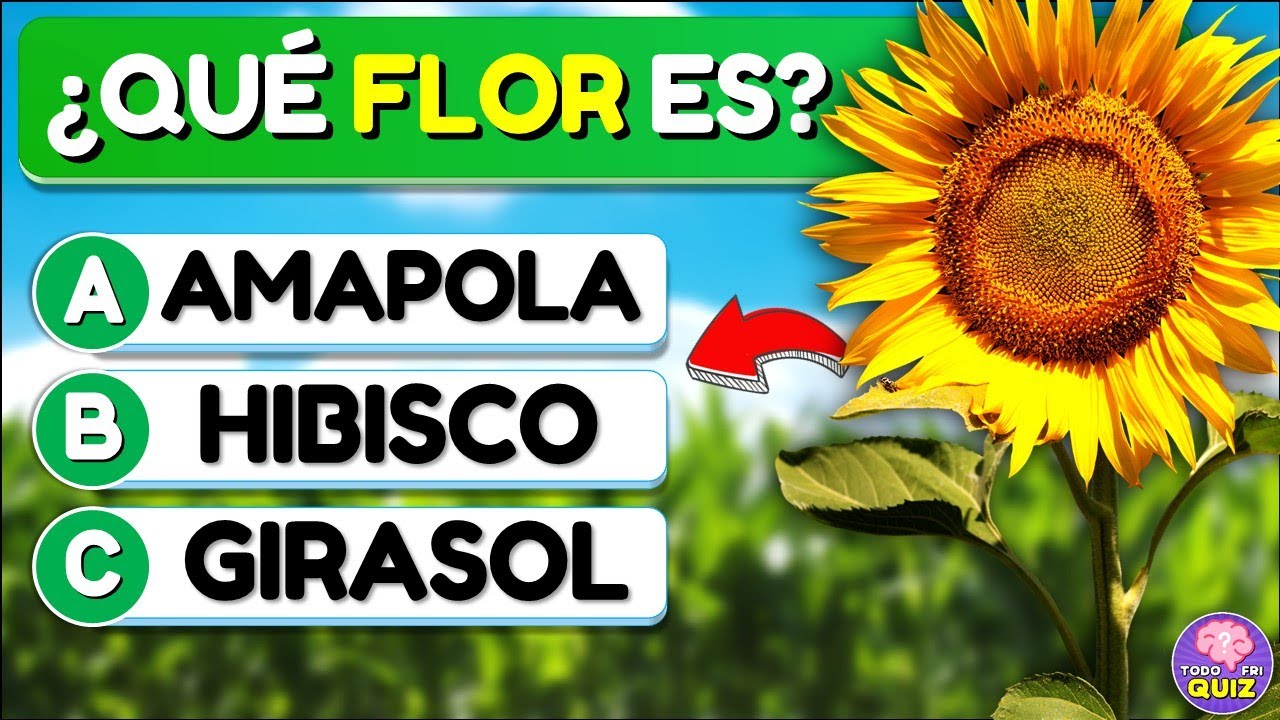 evaluacion sobre las plantas para primaria