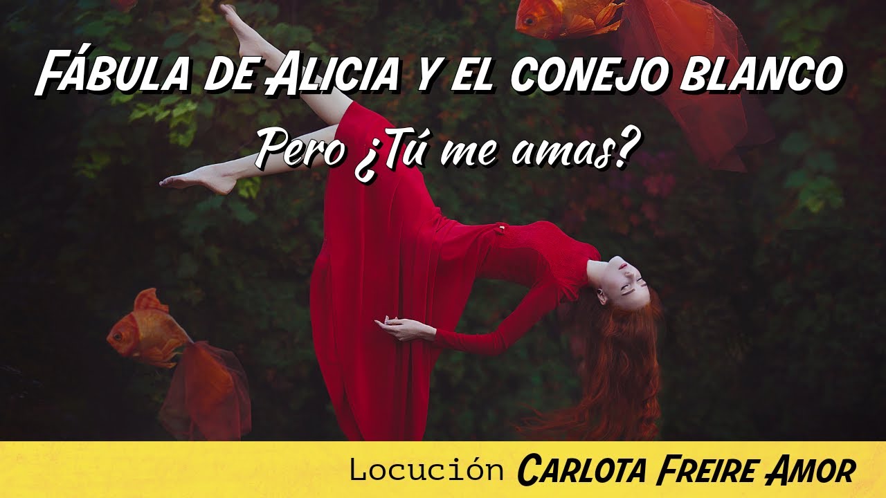 frases de alicia y el conejo