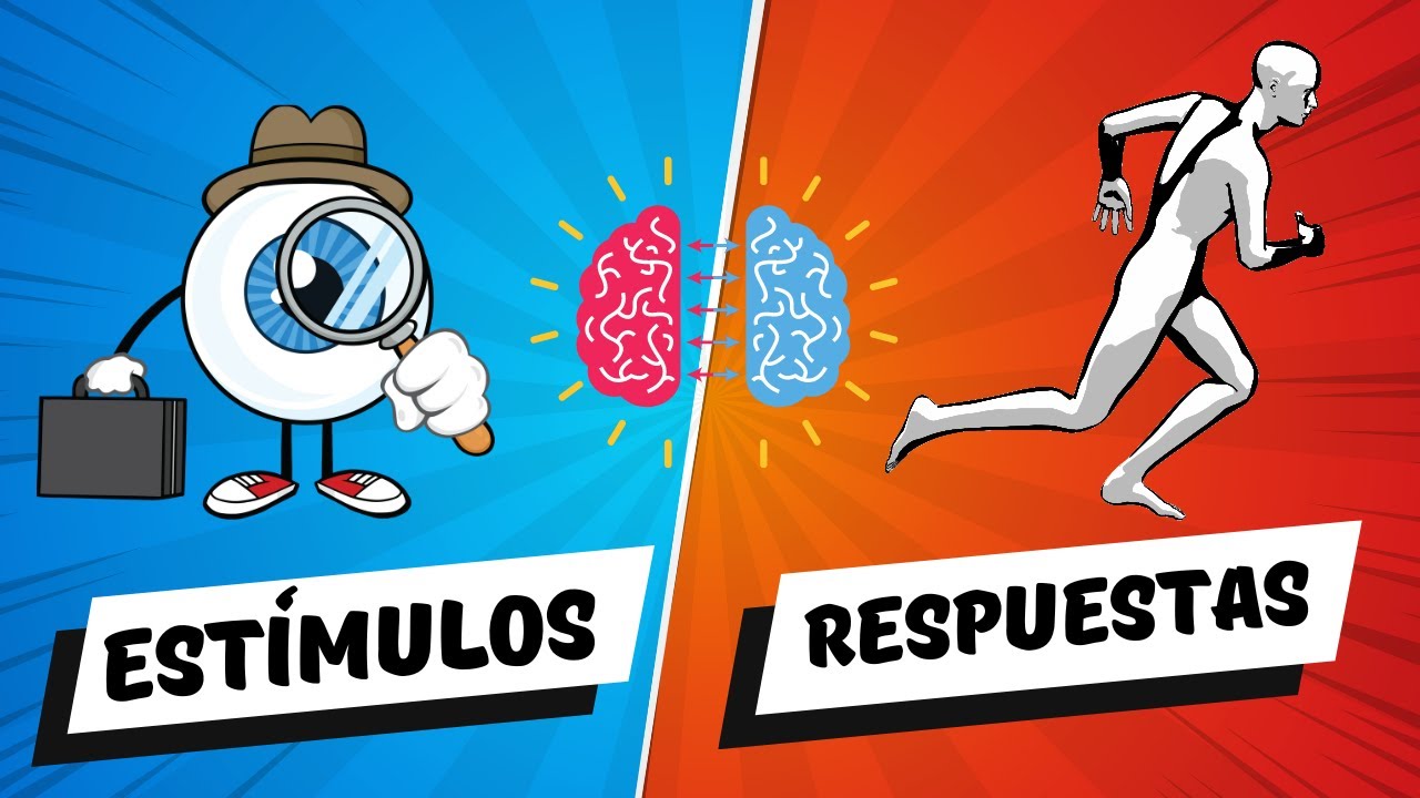 actividades de estimulo respuesta para niños