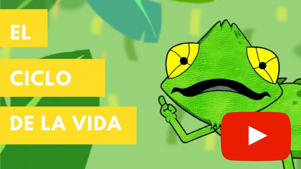 actividades sobre el ciclo vital de los seres vivos