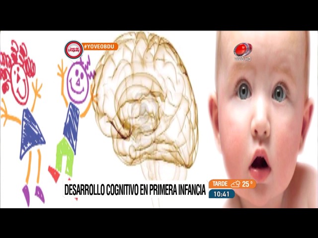 caracteristicas del desarrollo cognitivo en la primera infancia