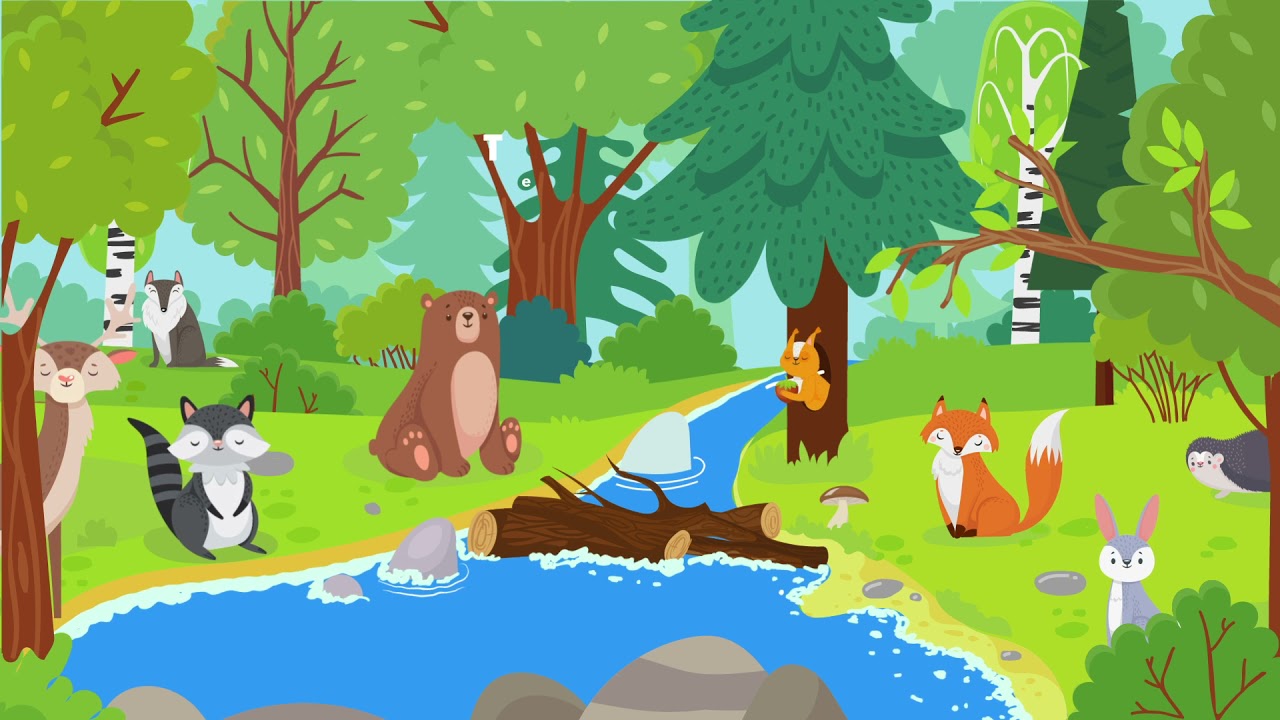 clasificacion de los animales para niños de segundo grado