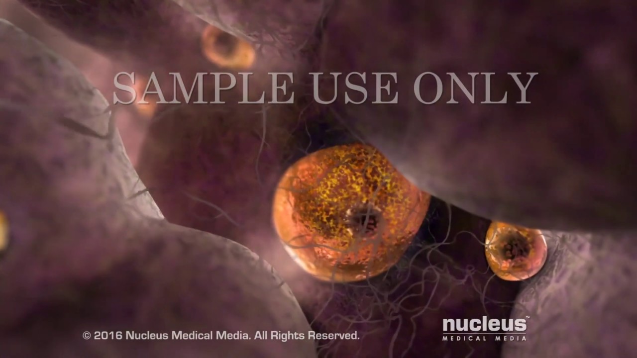 cual es la función del ovulo