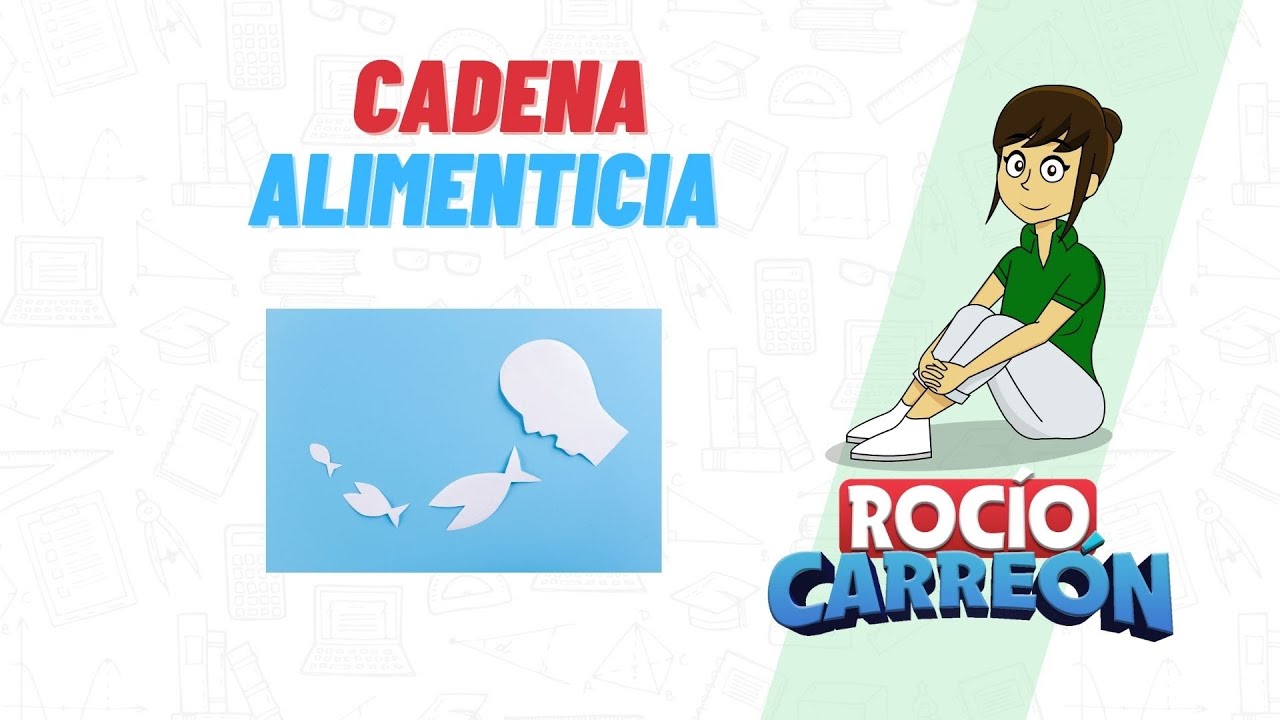 cuales son los animales consumidores terciarios