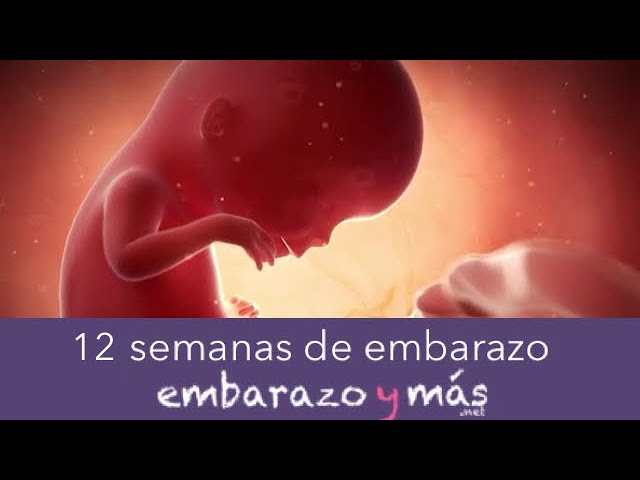 cuantos dias hay en 12 semanas