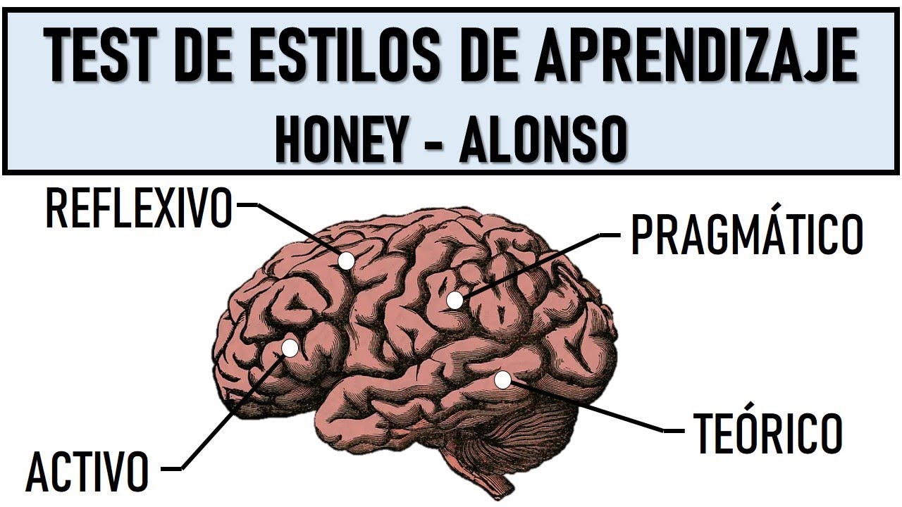 cuestionario honey alonso chaea estilos de aprendizaje online