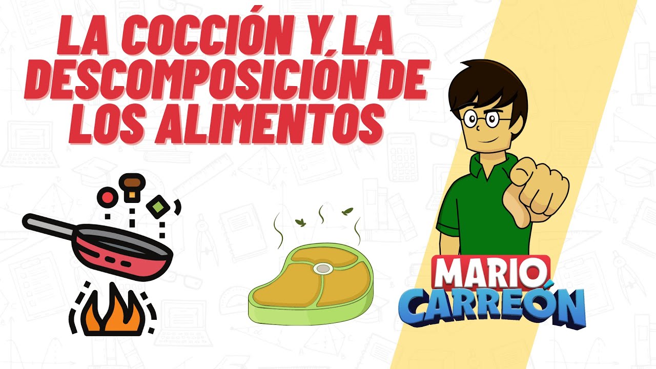 descomposicion de los alimentos y como se puede evitar