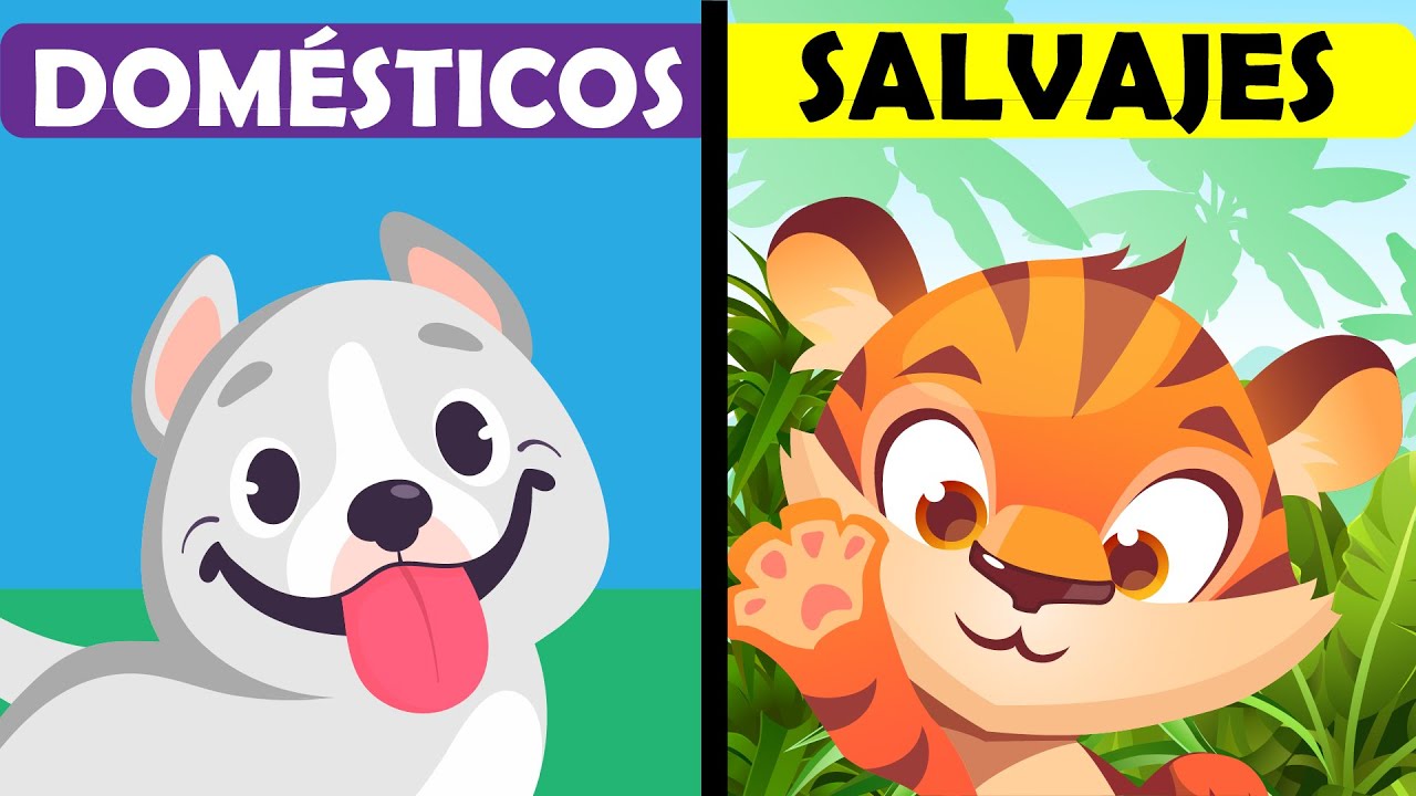 diferencia entre animales salvajes y domesticos