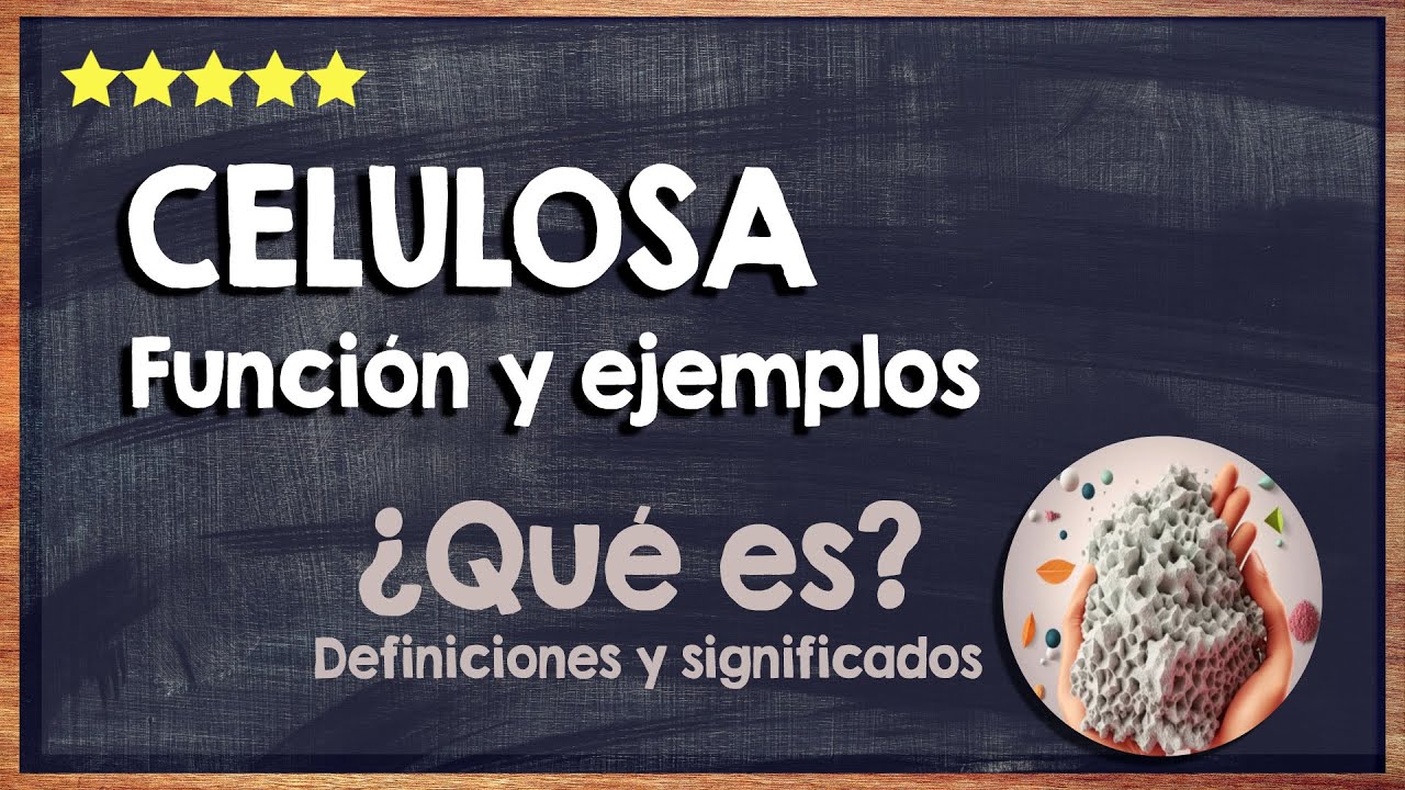 en donde se encuentra la celulosa