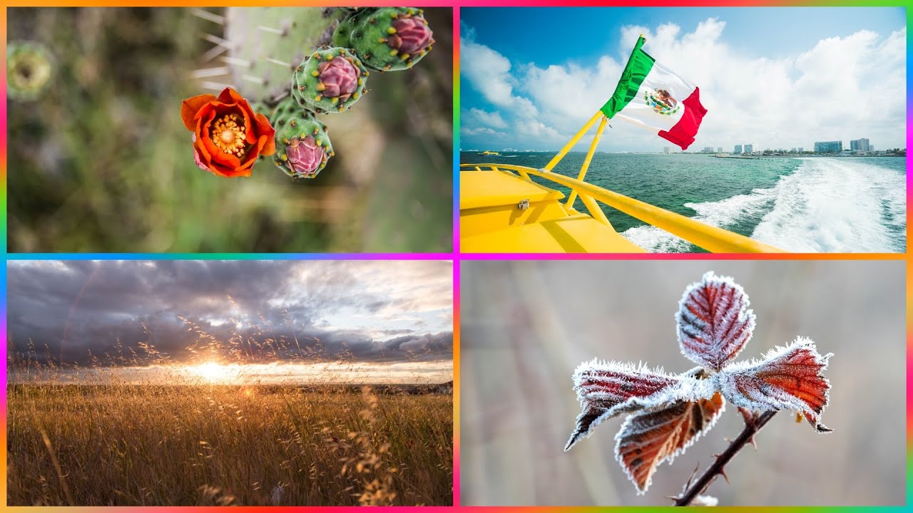 estaciones del año en mexico meses