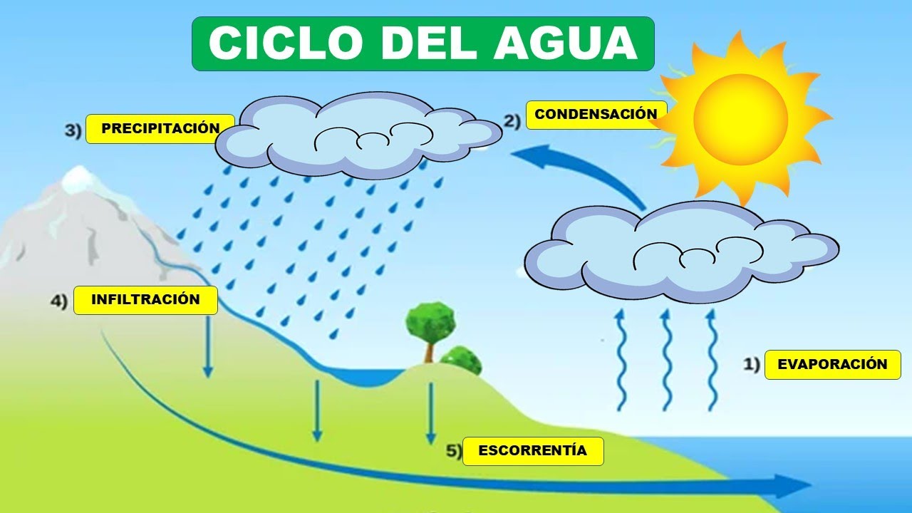 etapas del ciclo del agua precipitacion