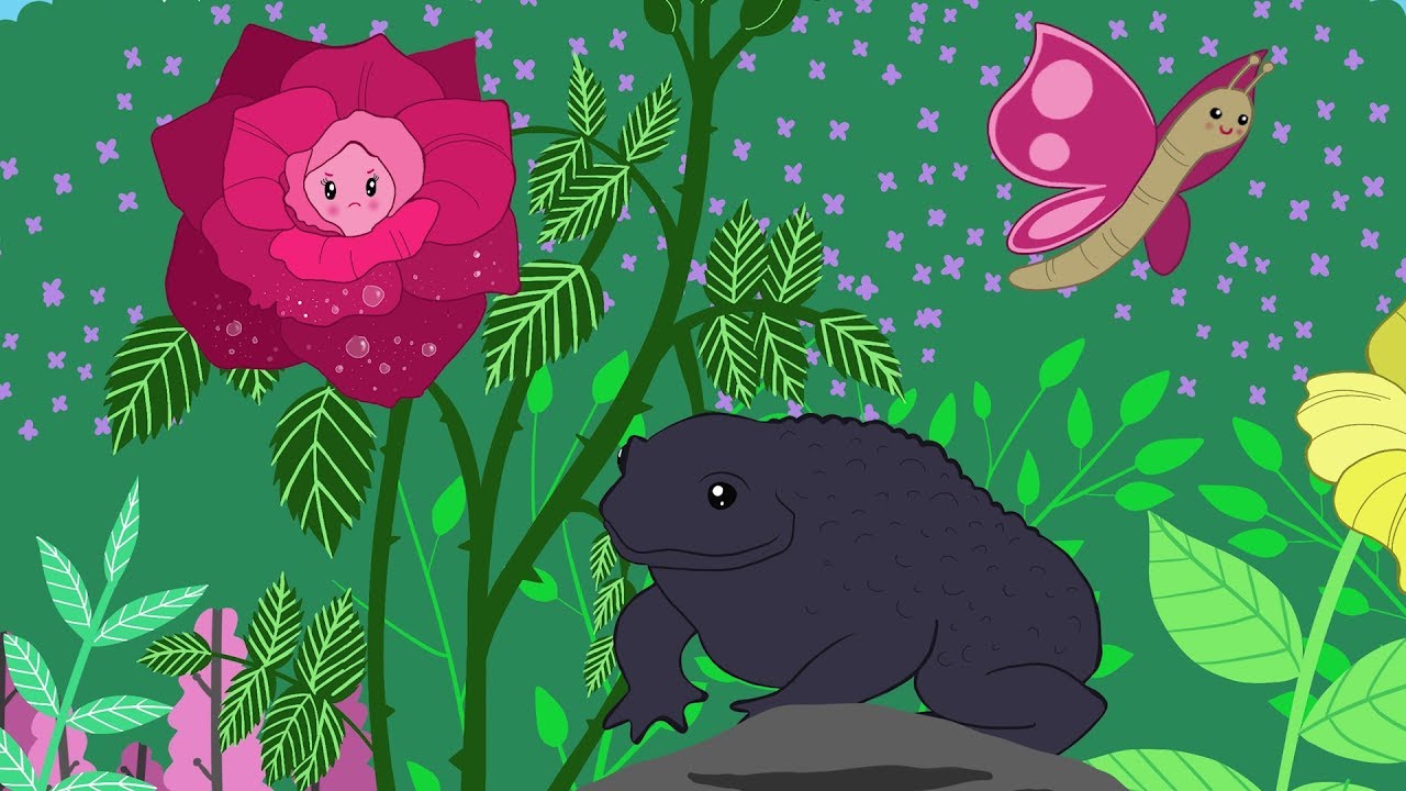 fabula la rosa y el sapo