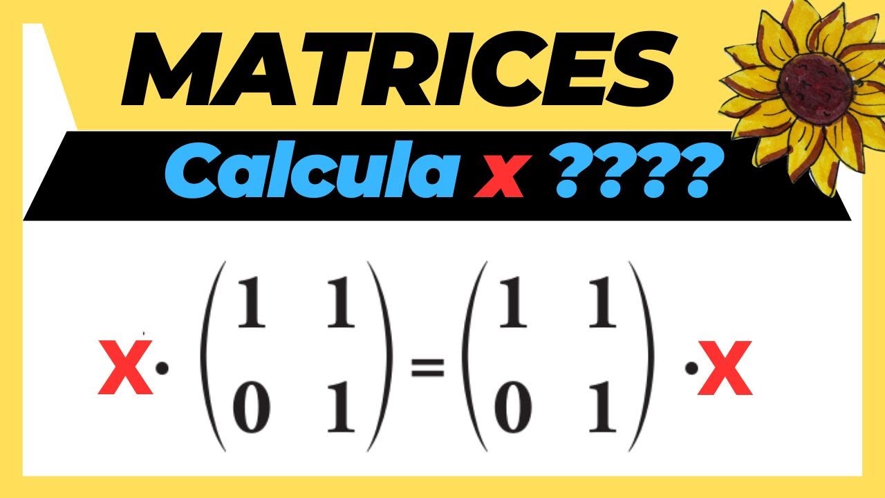 hallar la matriz x que cumpla