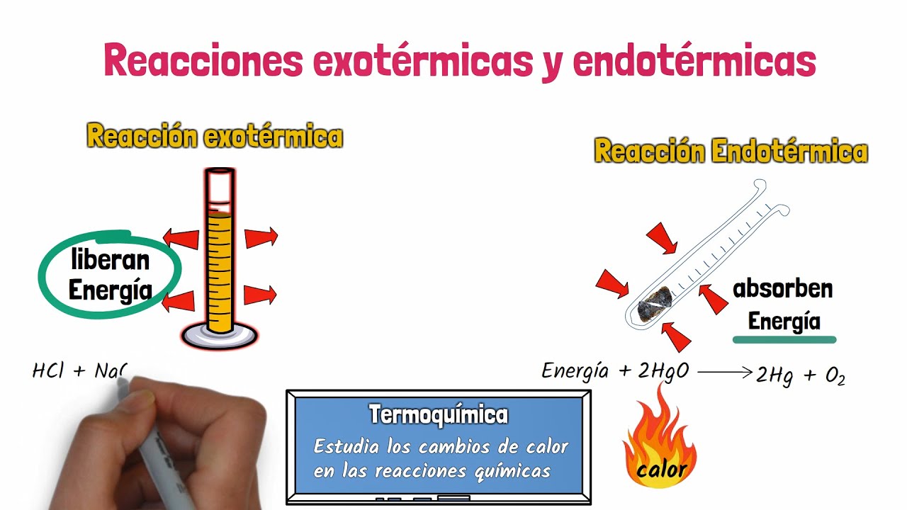 la combustion dela gasolina es una reaccion exotermica o endotermica