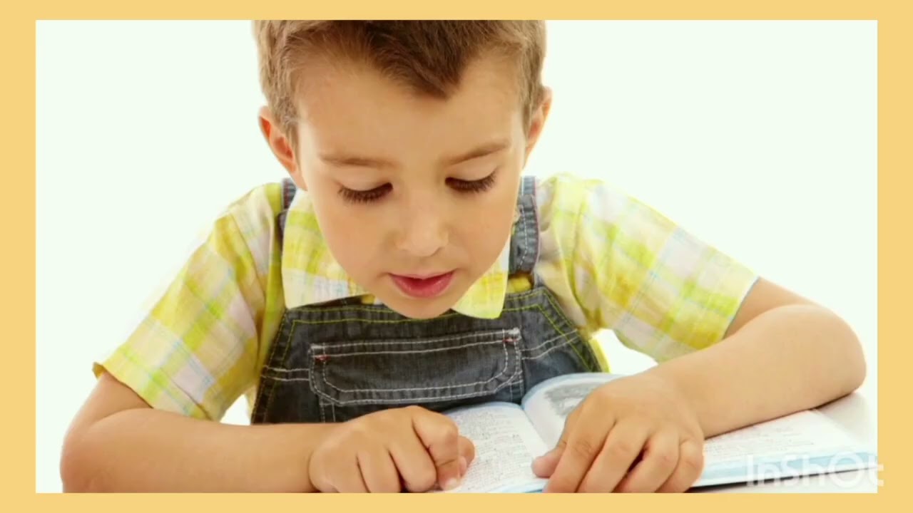 la escritura en preescolar segun emilia ferreiro