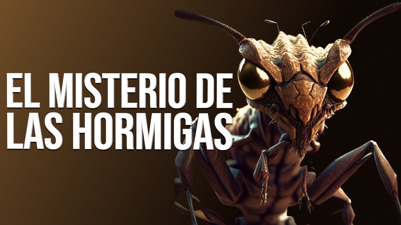 la vida de las hormigas resumen