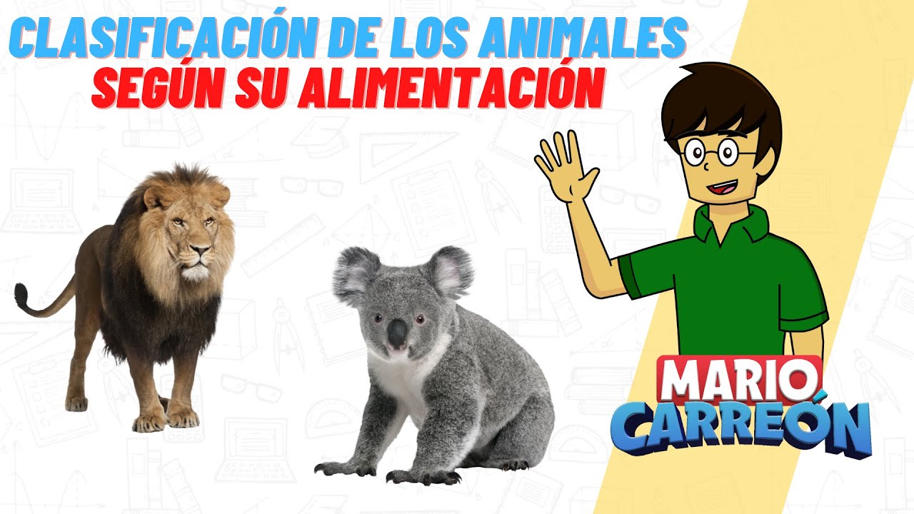 los animales por lo que comen se clasifican en