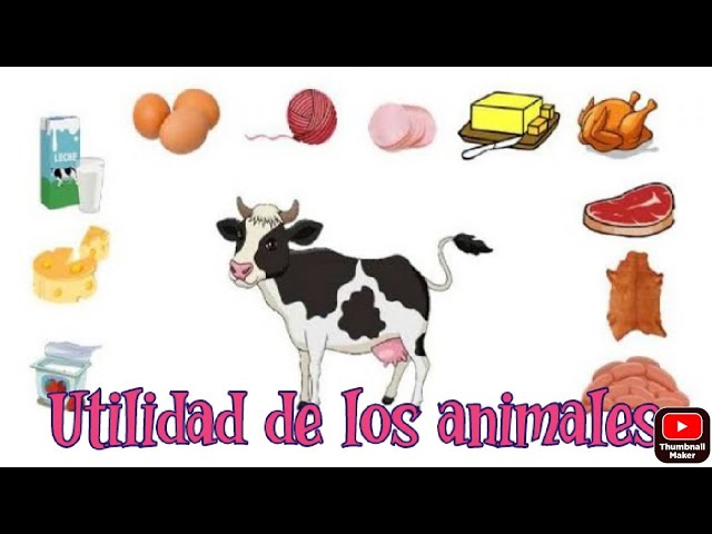 materia prima animal y sus derivados