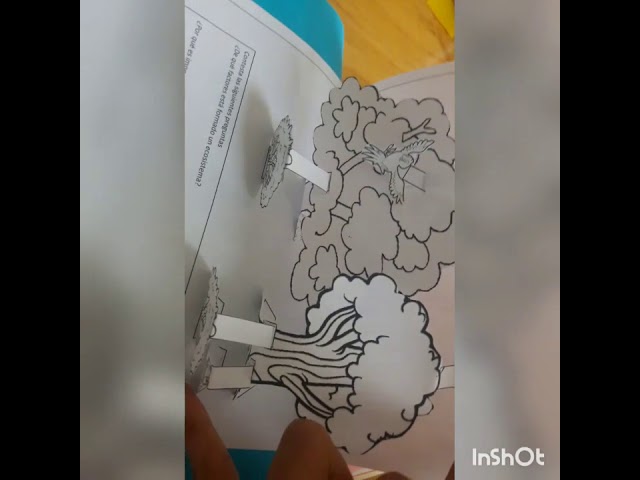 material de apoyo segundo grado cuarto bloque