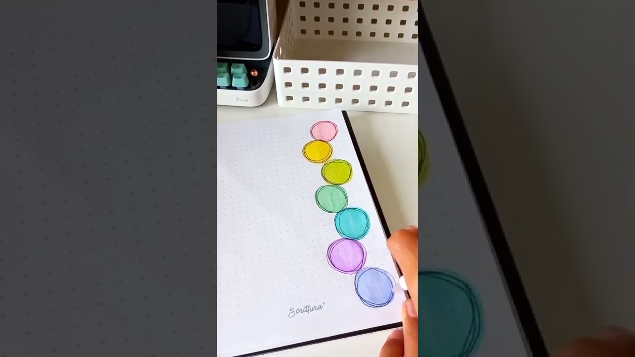 material zany quinto grado segundo trimestre