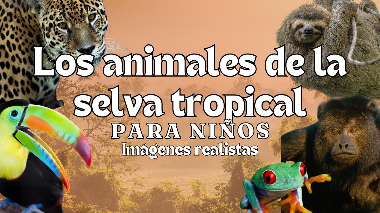 monografia de animales de la selva