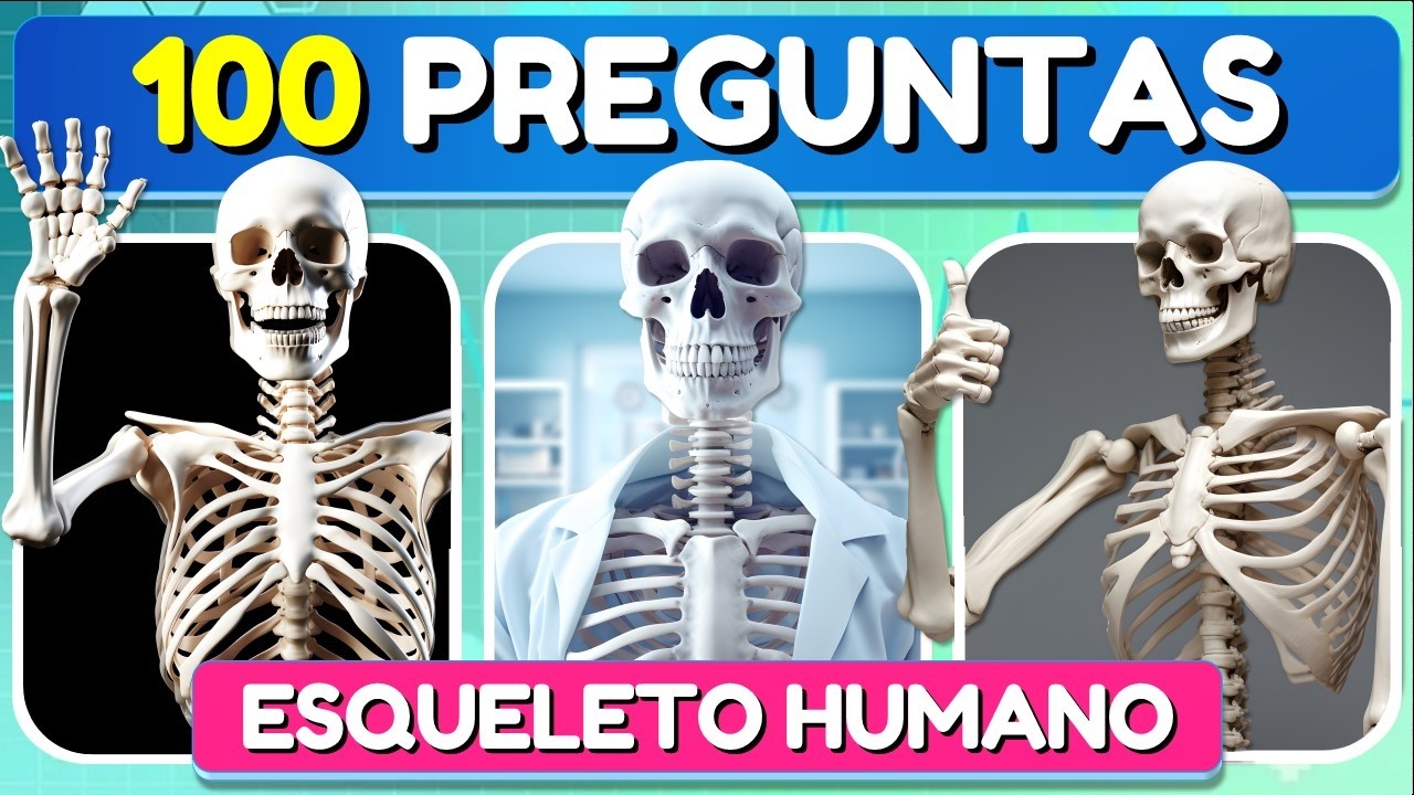 adivinanzas de los huesos del cuerpo humano