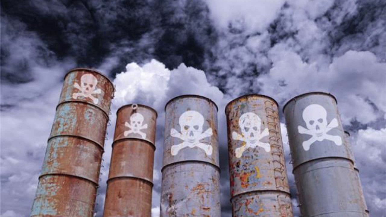 como eliminar toxinas del cuerpo en un día