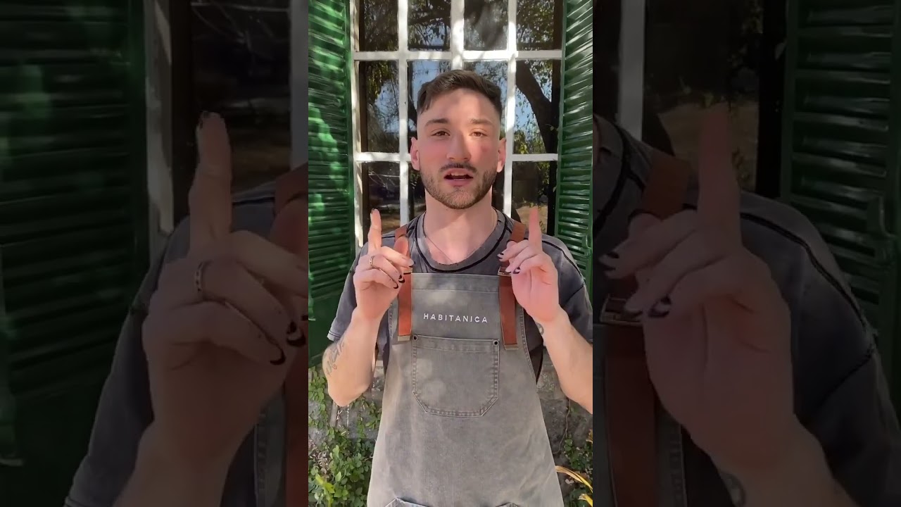 cuando se deben regar las plantas