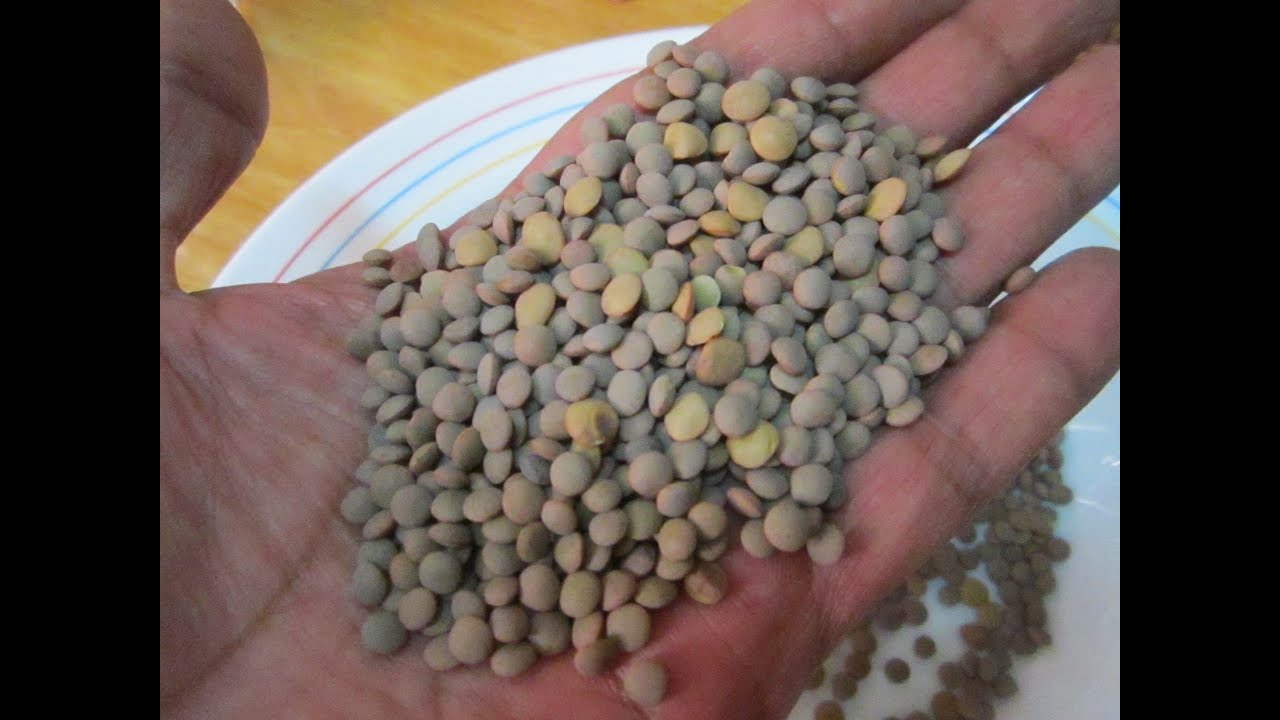 cuantas lentejas por persona en crudo