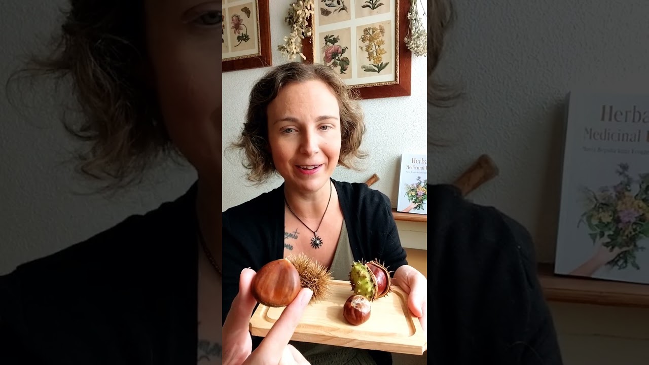 diferencia entre castaña y castaña pilonga