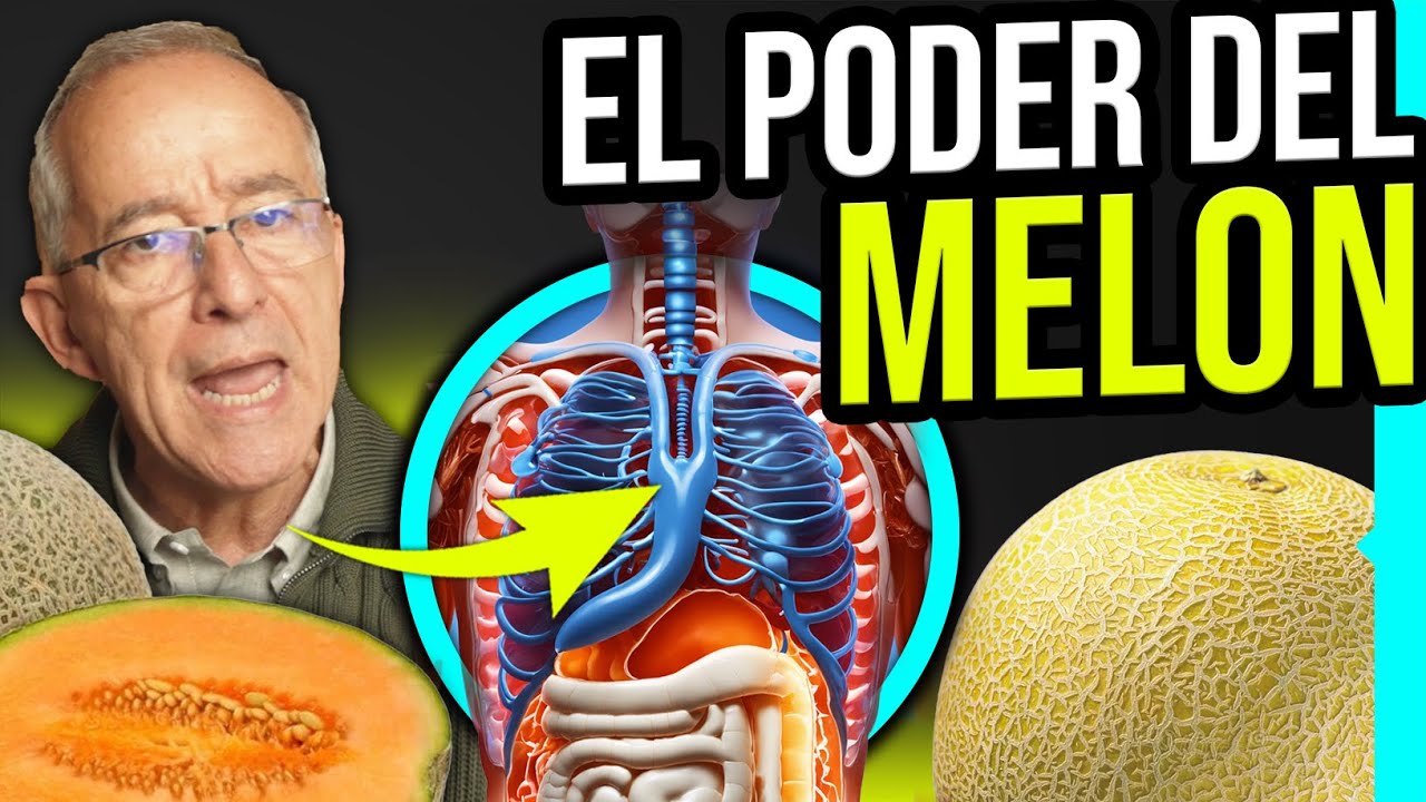 el melon es bueno para el colesterol