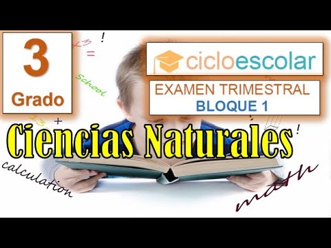 examenes examen ciencias naturales 3 primaria santillana