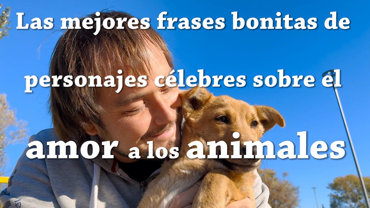 frases de amor a los animales