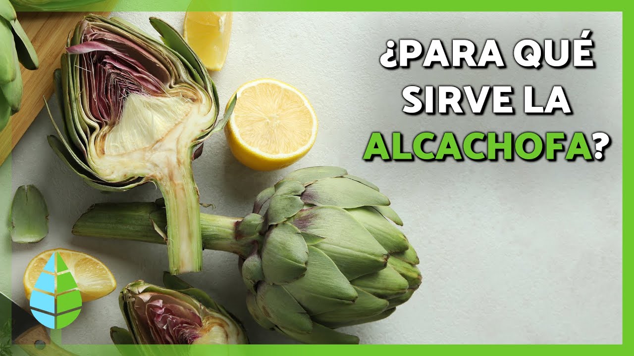 para q sirve el agua de alcachofa