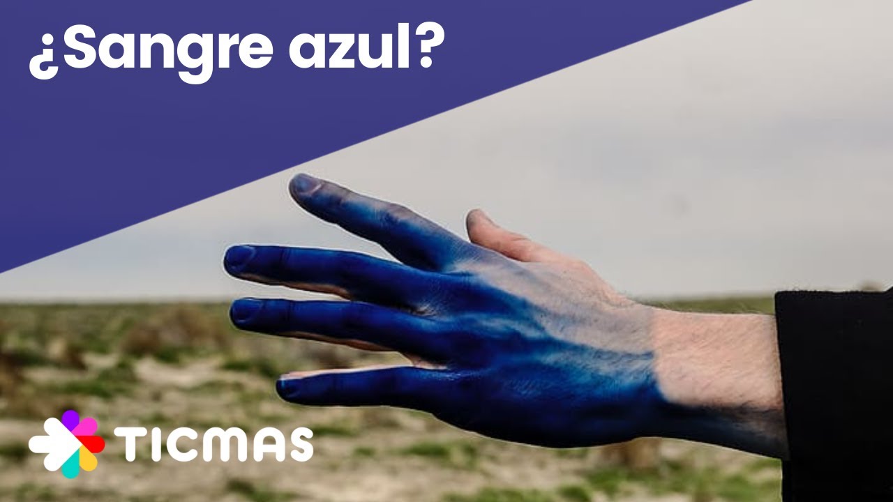 porque las venas se ven azules