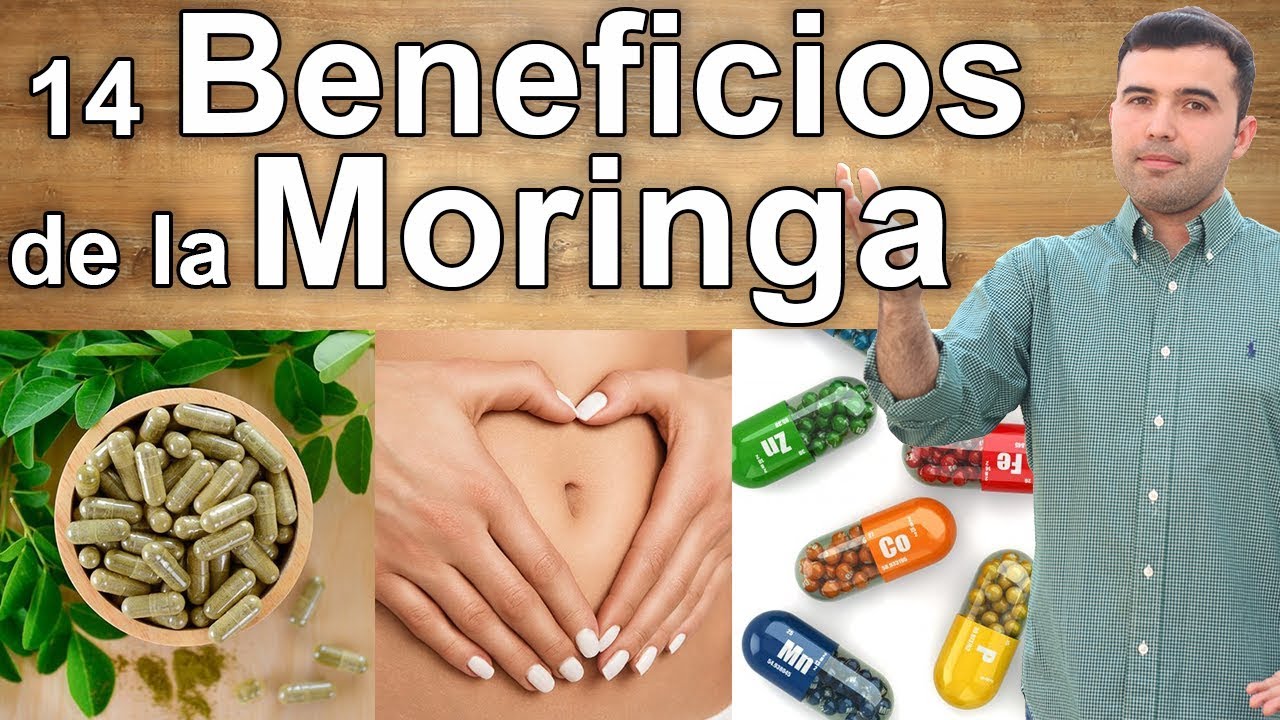 propiedades de la moringa para la salud