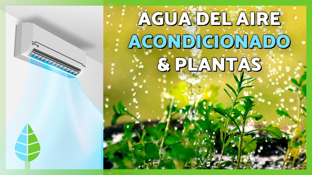 puedo regar las plantas con el agua del aire acondicionado