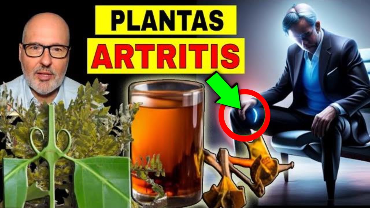 qué planta es buena para la artritis
