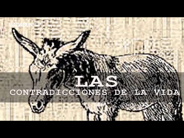 refranes de burros y su significado
