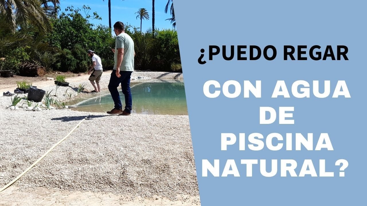 se puede regar con agua de piscina con cloro