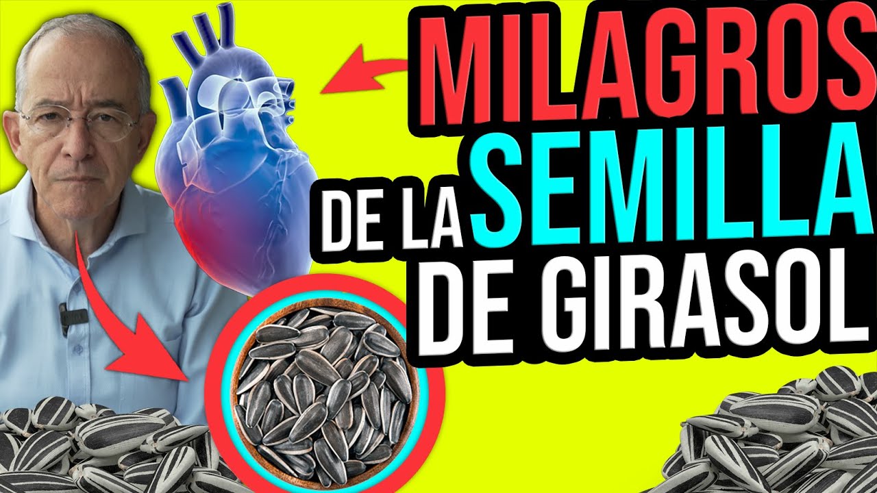 son sanas las pipas de girasol