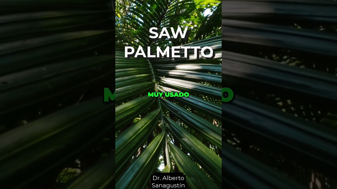 tiempo de tratamiento del sabalsan para la próstata