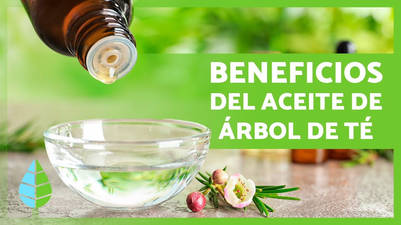 aceite de árbol del té para axilas